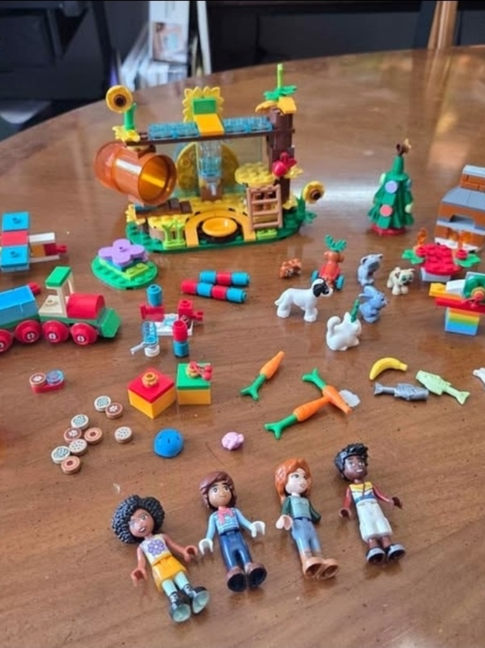 LEGO Friends Hamster Playset & Christmas Advent Calendar Set